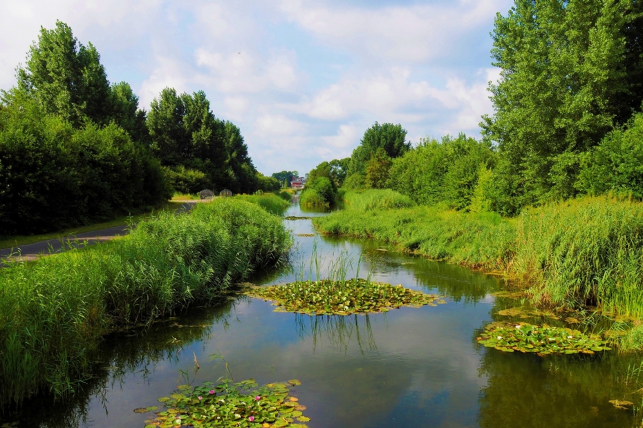 Foto ter illustratie