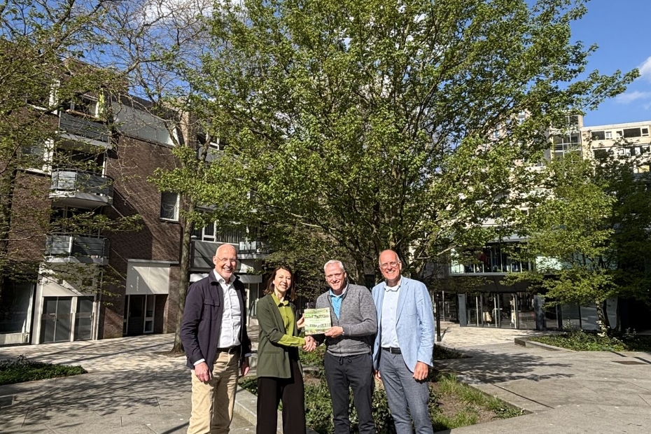 Foto: Boomkwekerij Udenhout