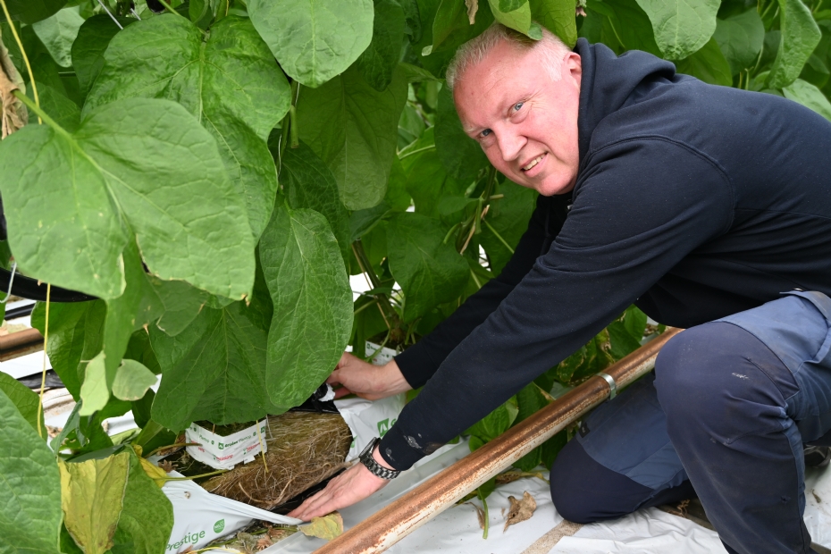 Peter Boekestijn Peter Boekestijn