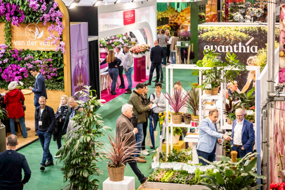 Archieffoto. Foto: Royal FloraHolland